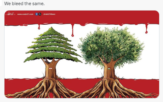 LILIPalestine's tweet photo. @AmbaFranceLiban 😭😭😭😭😭😭#ACTNOW #StopGenocideColonial #CiviliansAreNotTarget #JournalistsAreNotTarget #JournalismIsNotACrime #JusticeForLiban #SanctionsIsrael #End_Impunity #LigneRouge #EndOccupation #EndGenocide #SoutienLiban #ICJ_bringjusticeToLiban #ICC_bringjusticeToLiban https://t.co/epjXK2ABbI