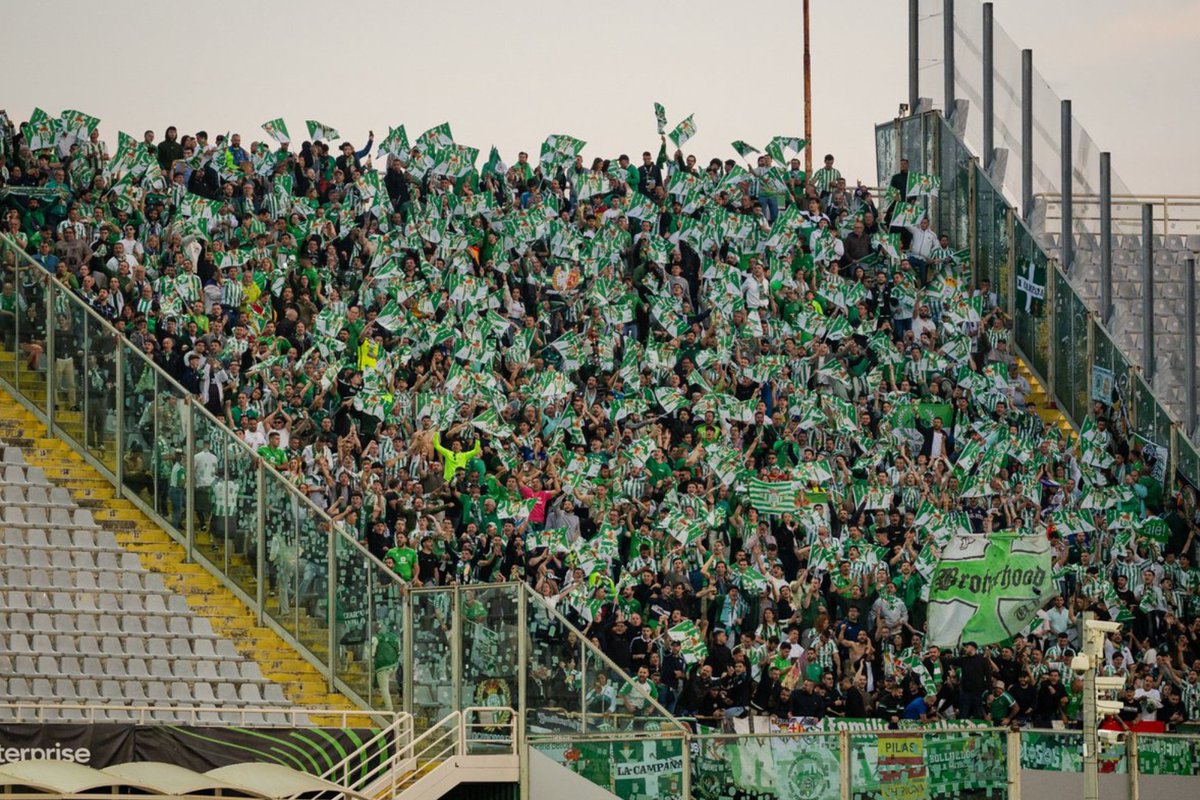 Todo_Betis tweet media