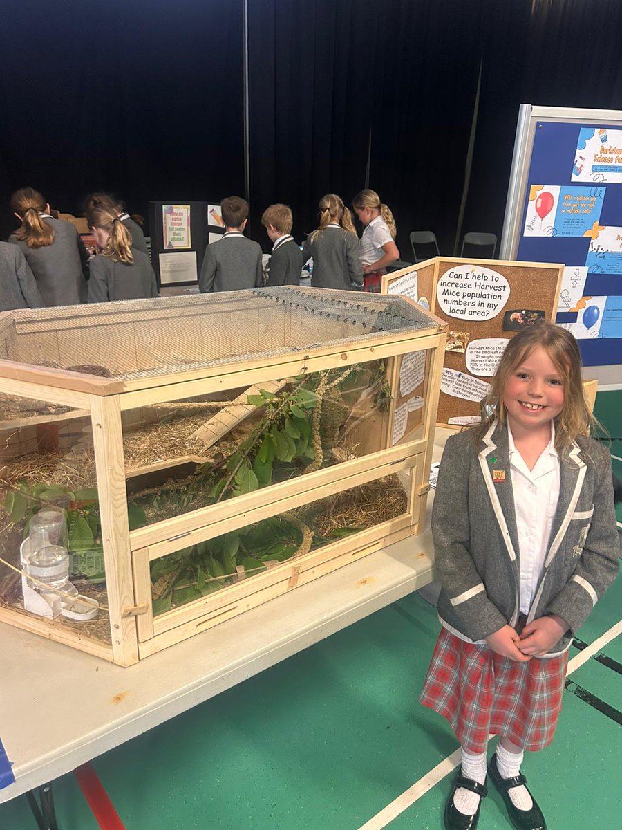 DurlstonMiddle's tweet photo. On Friday, we were delighted to host our #durlstonmiddleprep Science Fair, and what an incredible event it was! The enthusiasm, creativity, and dedication shown by our pupils truly blew us away.
#durlstonfamily #durlstonscience #durlstoncreate #durlstongrow https://t.co/iDI3CuoL6c