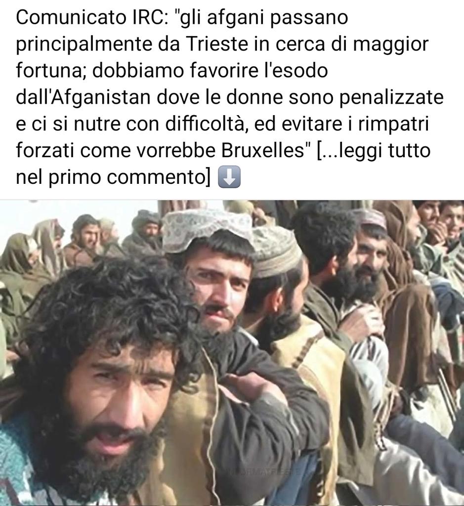 Max Ferrari tweet media
