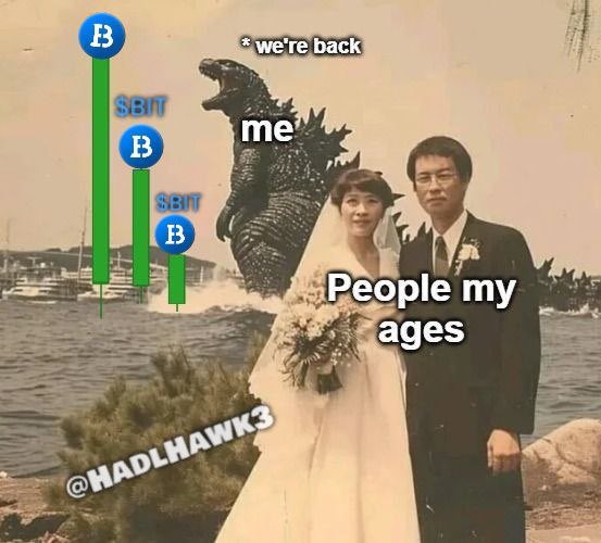 HodlHawk tweet media
