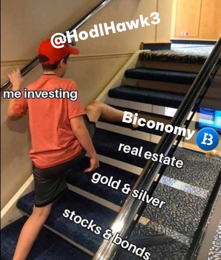 HodlHawk tweet media