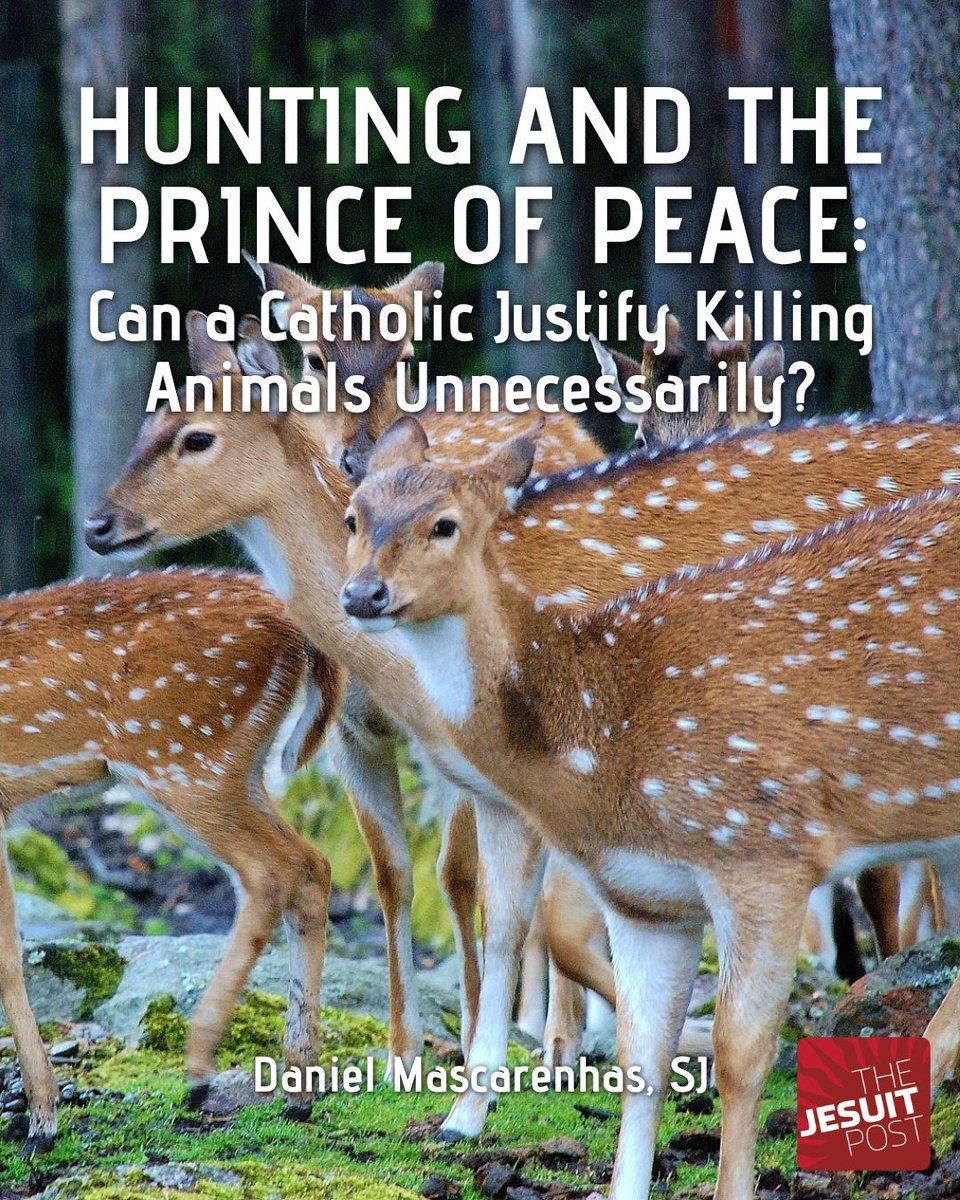 The Jesuit Post tweet media