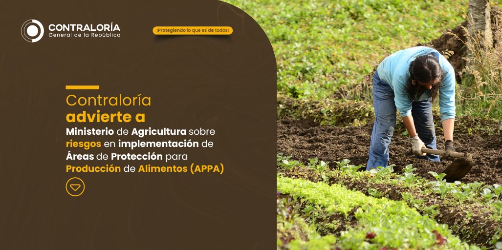 CGR_Colombia's tweet photo. 🚨Emitimos Advertencia Especial al @MinAgricultura y a la @UPRAColombia por riesgos en la implementación de las Áreas de Protección para la Producción de Alimentos (#APPA). En ese sentido, identificamos fallas en planeación, coordinación y respaldo financiero que podrían afectar su ejecución en el territorio.🌾

📲Comunicado de prensa👉🏼 https://t.co/79A9FhcESW