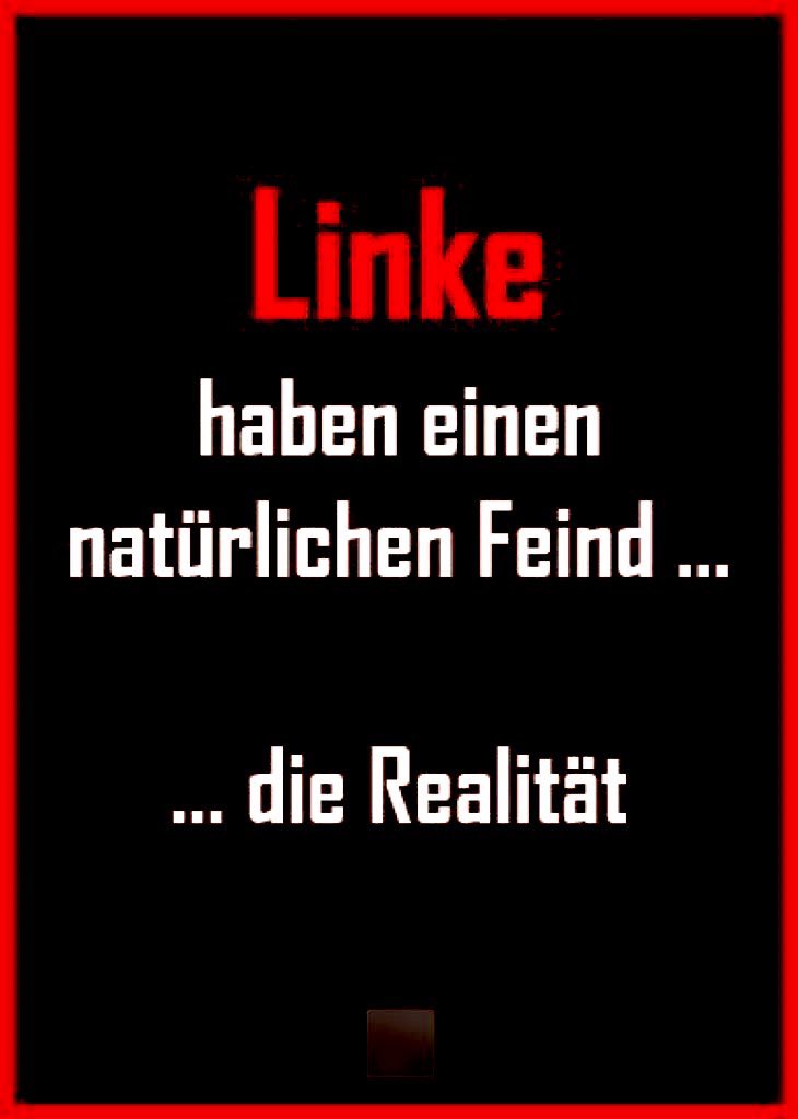 Stephan Marschik tweet media