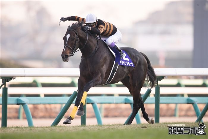 競馬ラボ tweet media