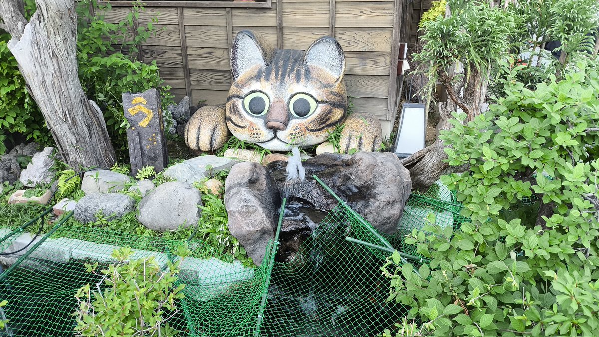 chaosigma's tweet photo. 川越で日帰り旅行しました。
どこも混んでるのでこんなレベルの観光がちょうどいいです。 https://t.co/3ZhJAXhfif