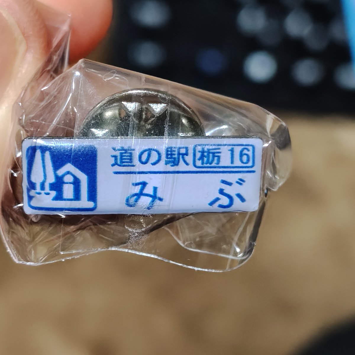 道の駅みぶ！(東武線で来たよ)
GWで激混みでした_(:3 」∠)_　いちごスイーツは美味かった🍓　ピンズも無事ゲット