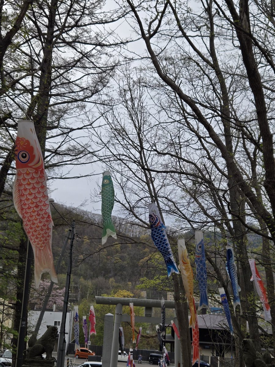 8686as's tweet photo. 定山渓神社の鯉のぼり https://t.co/m54JROcw5T