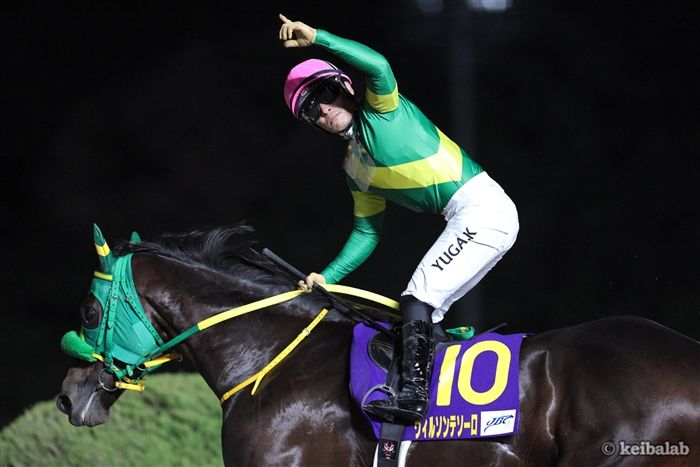 競馬ラボ tweet media