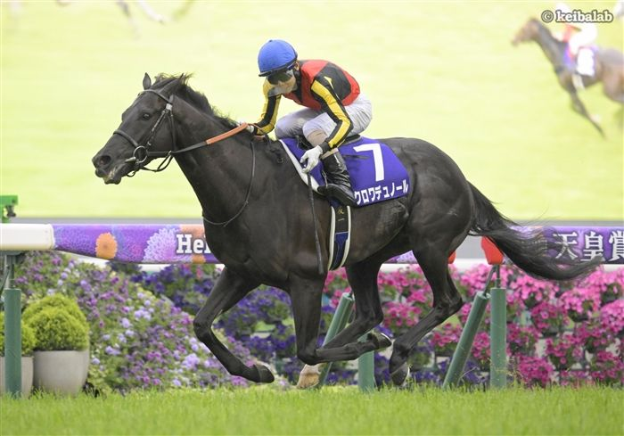 競馬ラボ tweet media
