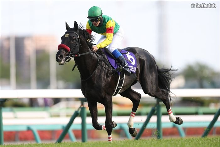 競馬ラボ tweet media