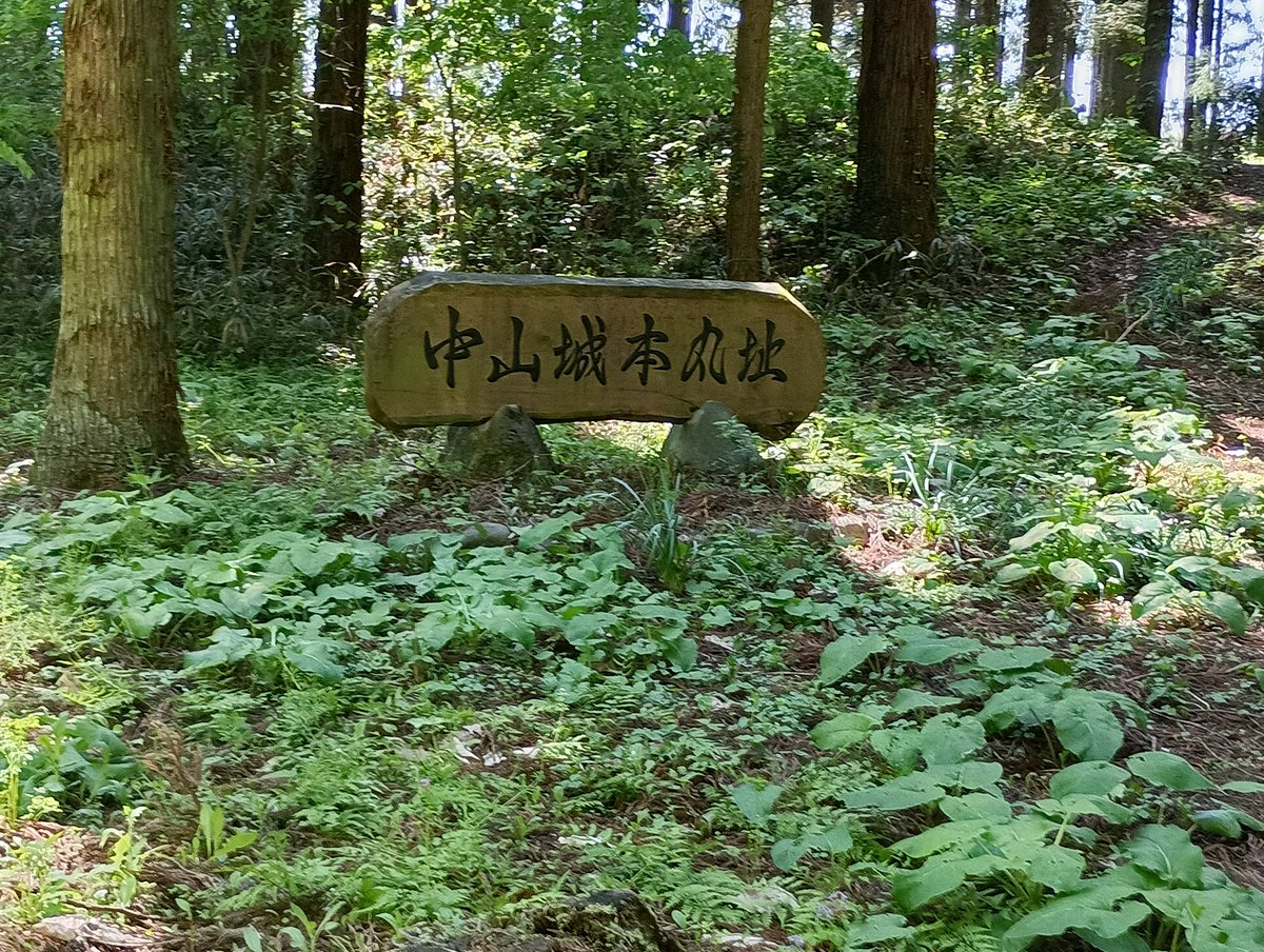 sato0622's tweet photo. 今日は家にいても気が滅入るので少し出掛けた。
いつも行かないところにと言うことで高山村に行ってきた。
道の駅から中山宿→中山城趾→名胡桃城趾へ
帰り初めて高山から月夜野に抜ける道を通った。
いい天気で気分も少し晴れた気がする。 https://t.co/jVkYOapZIf