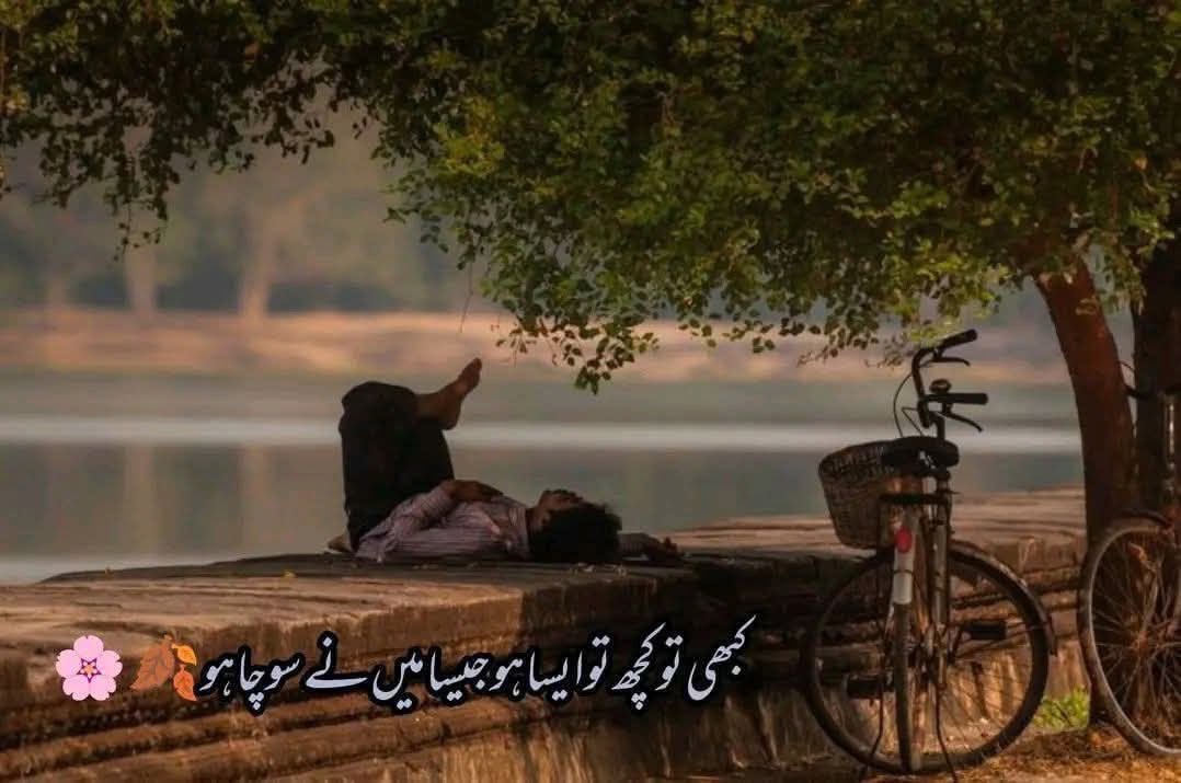 وہ جو سب ختم کرنے کی ضد پکڑ کر بیٹھا ہے
اس نے سب سمیٹ کے بھی تو دیکھا ہو گا
#قومی_زبان