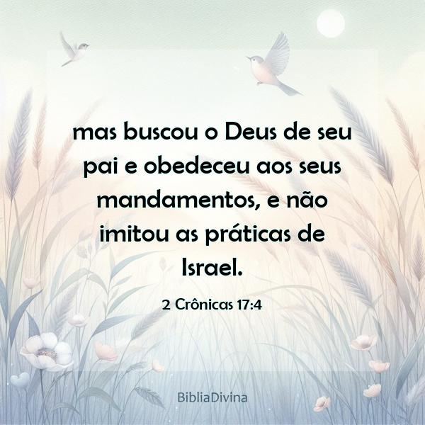 Wander 🇧🇷 tweet media