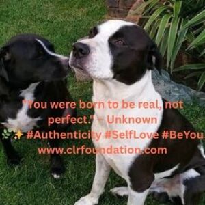 zerrydo's tweet image. 😀clrfoundation.com - . #Kindness #GiveBack #Donate #Gratitude #CommunityCare #SpreadLove #BeKind