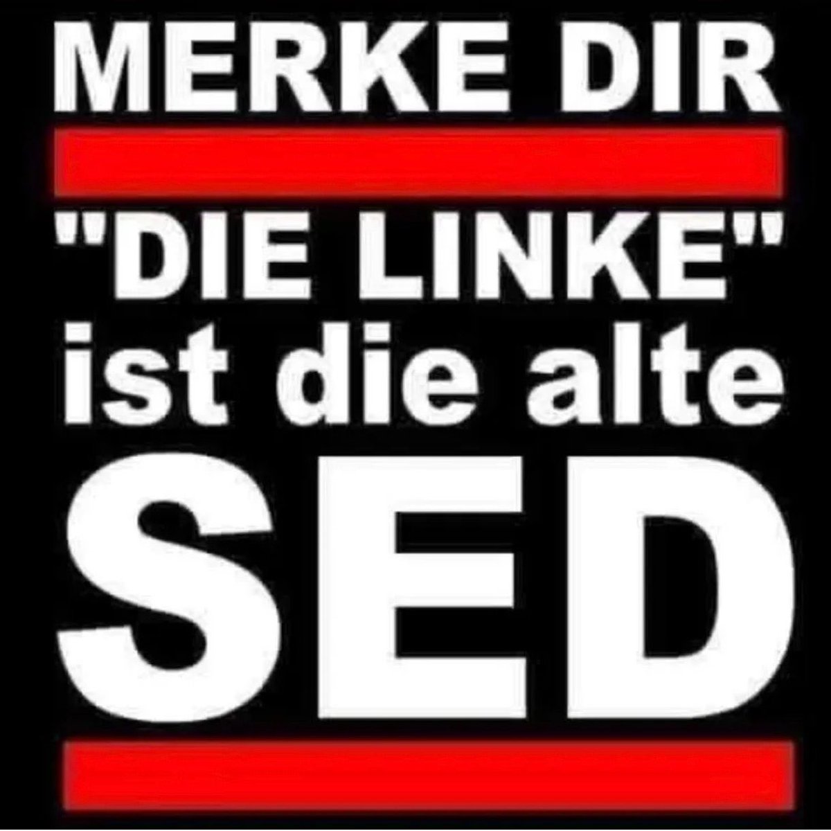 Stephan Marschik tweet media