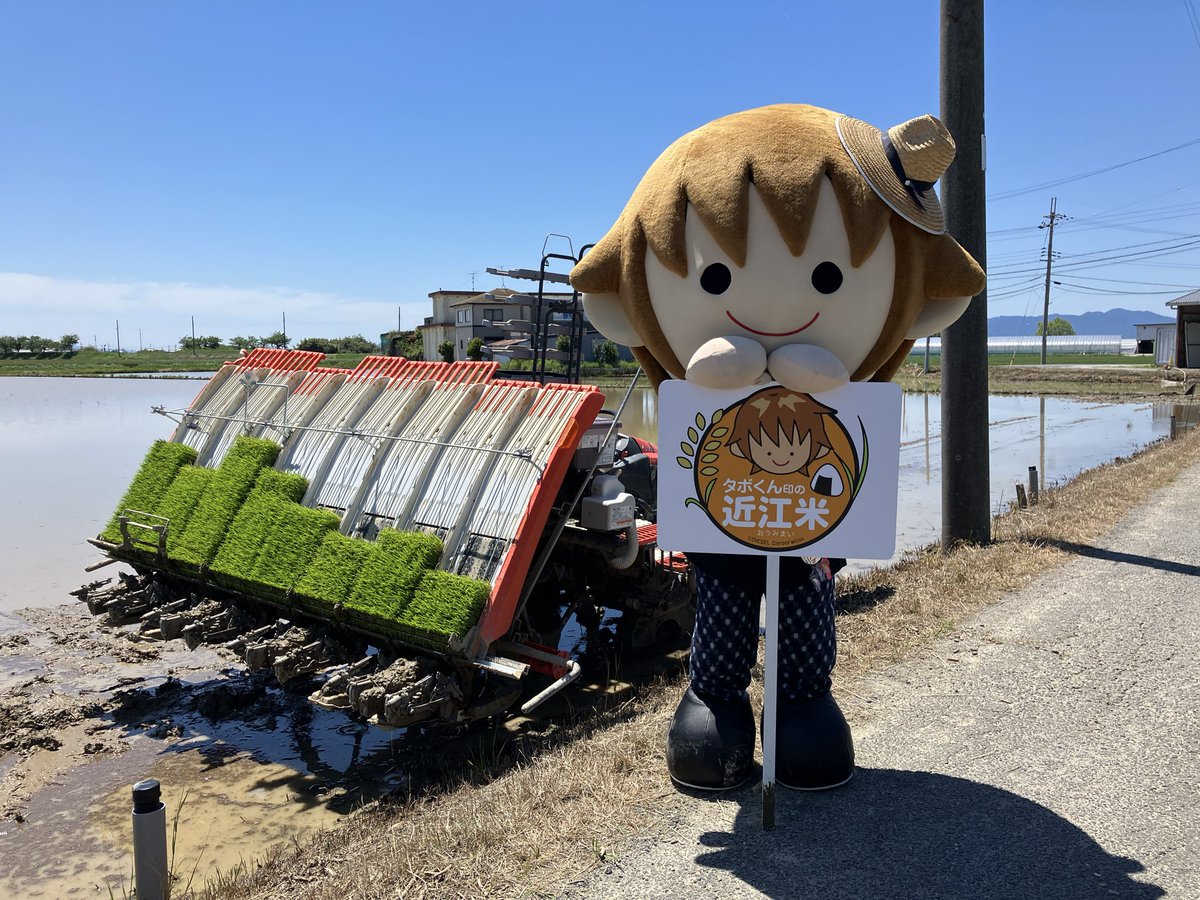 タボくん【公式】 tweet media