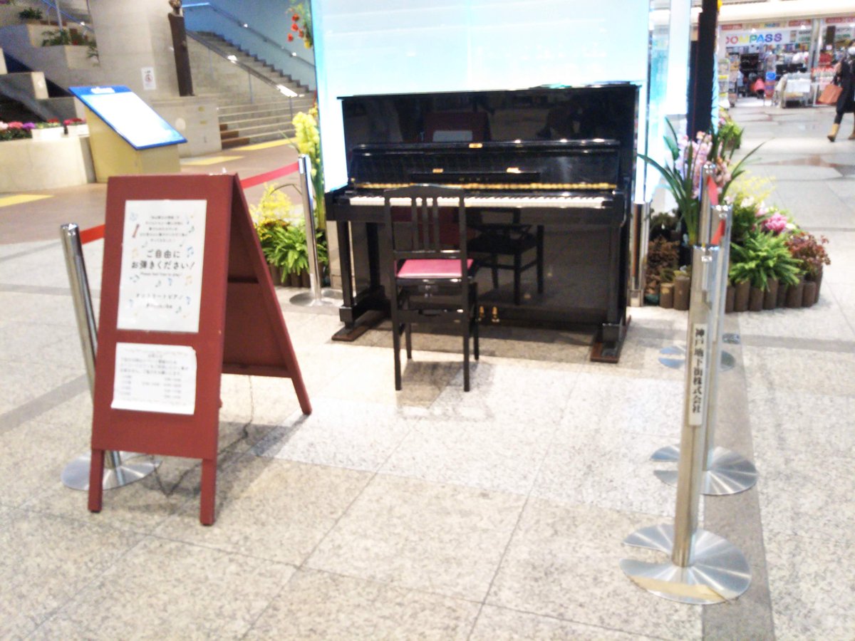 あいちりん tweet media
