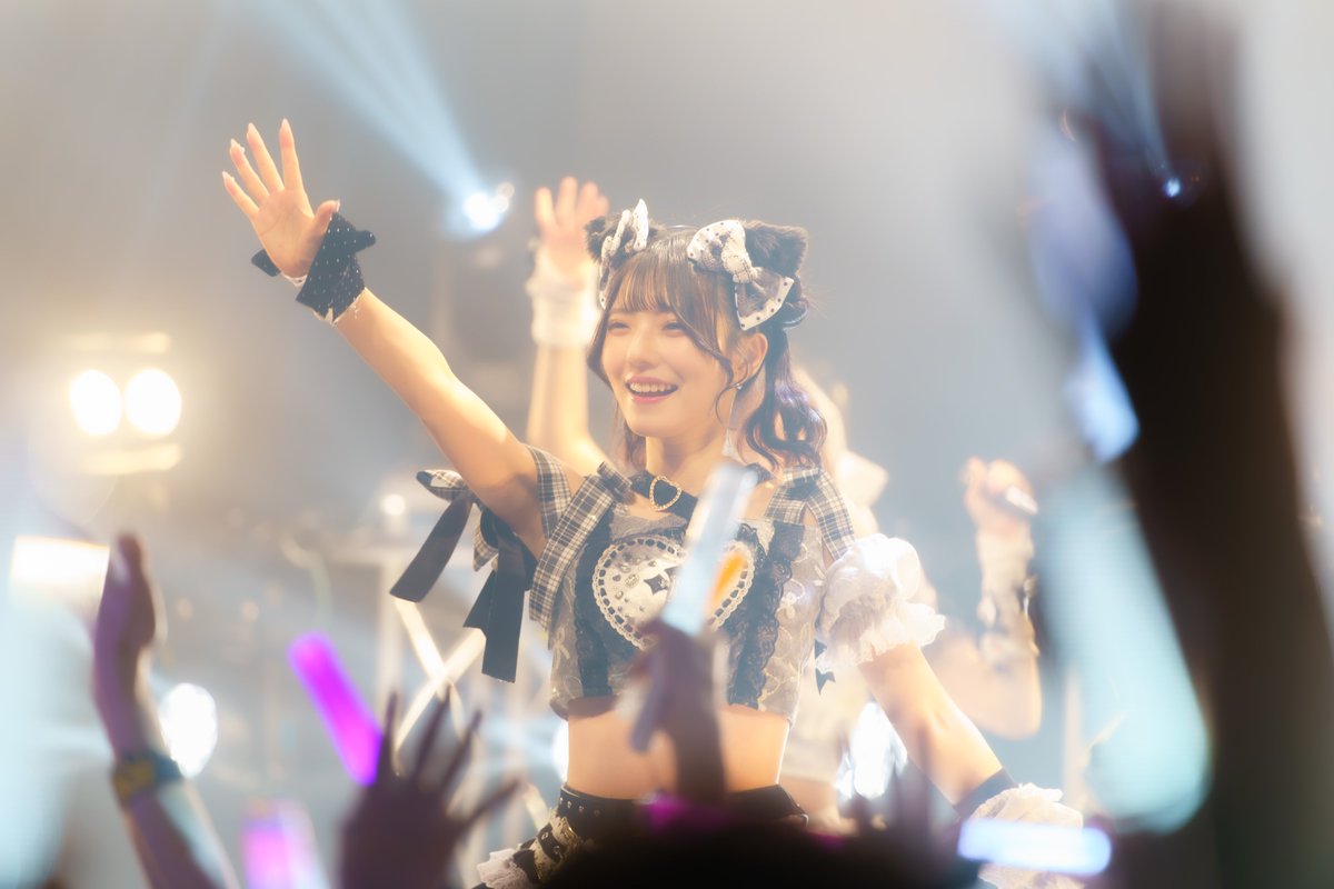 ぴこぴこ🧸（ころすけ） tweet media