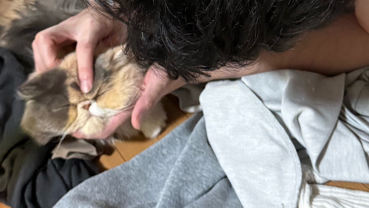 猫吸い被害現場を激写‼️📸📸