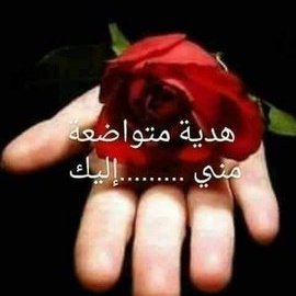 🇸🇦🇮🇶الᷝبـᷠـــᷧـــᷨـــᷞـــᷧـــاني🇮🇶🇸🇦 tweet media