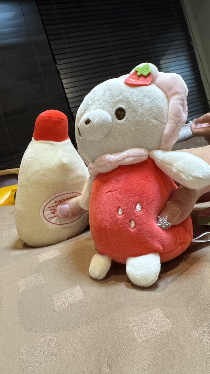 しょうちゃんネル tweet media