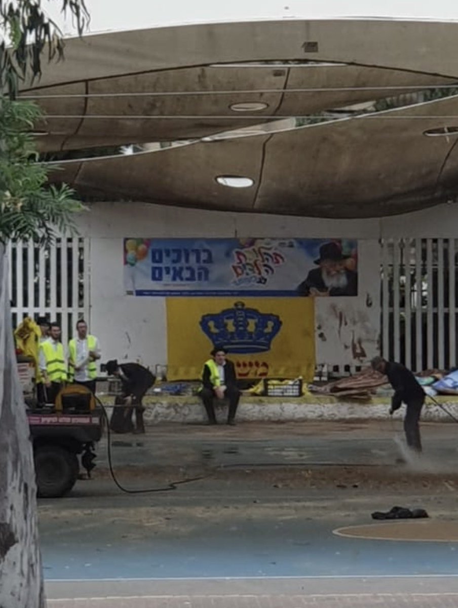 Naor Narkis נאור נרקיס tweet media