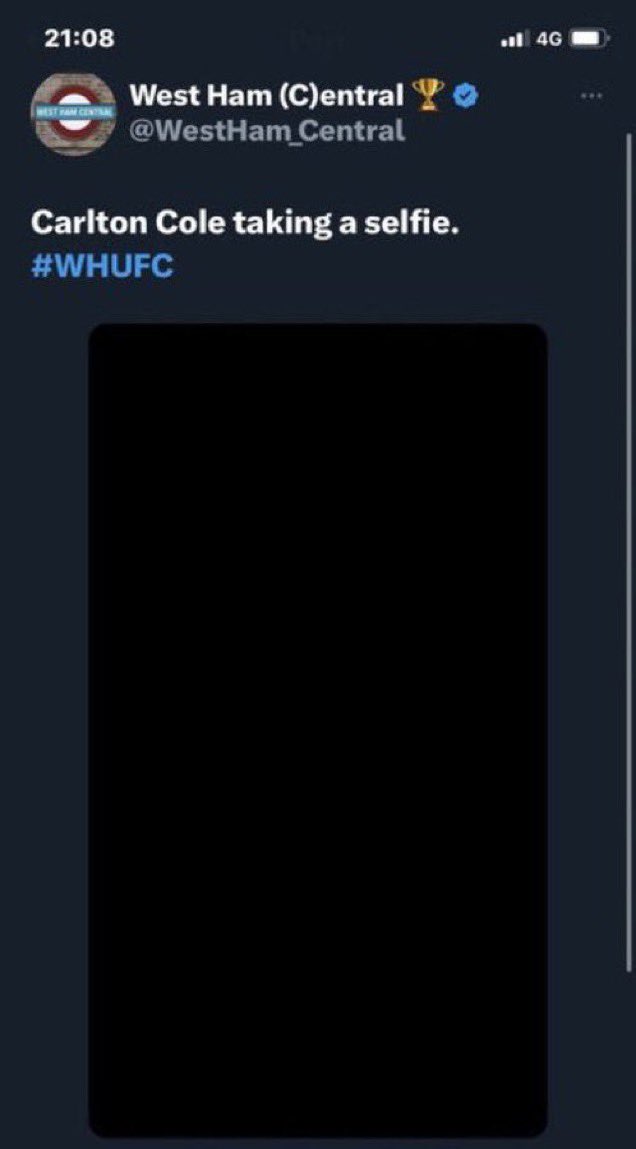 🇨🇦🧊 tweet media