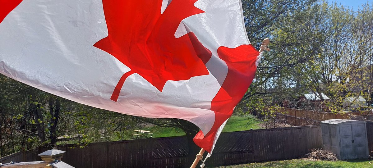 CanadianBlackBear🇨🇦 (CanadianPenny🌈) tweet media