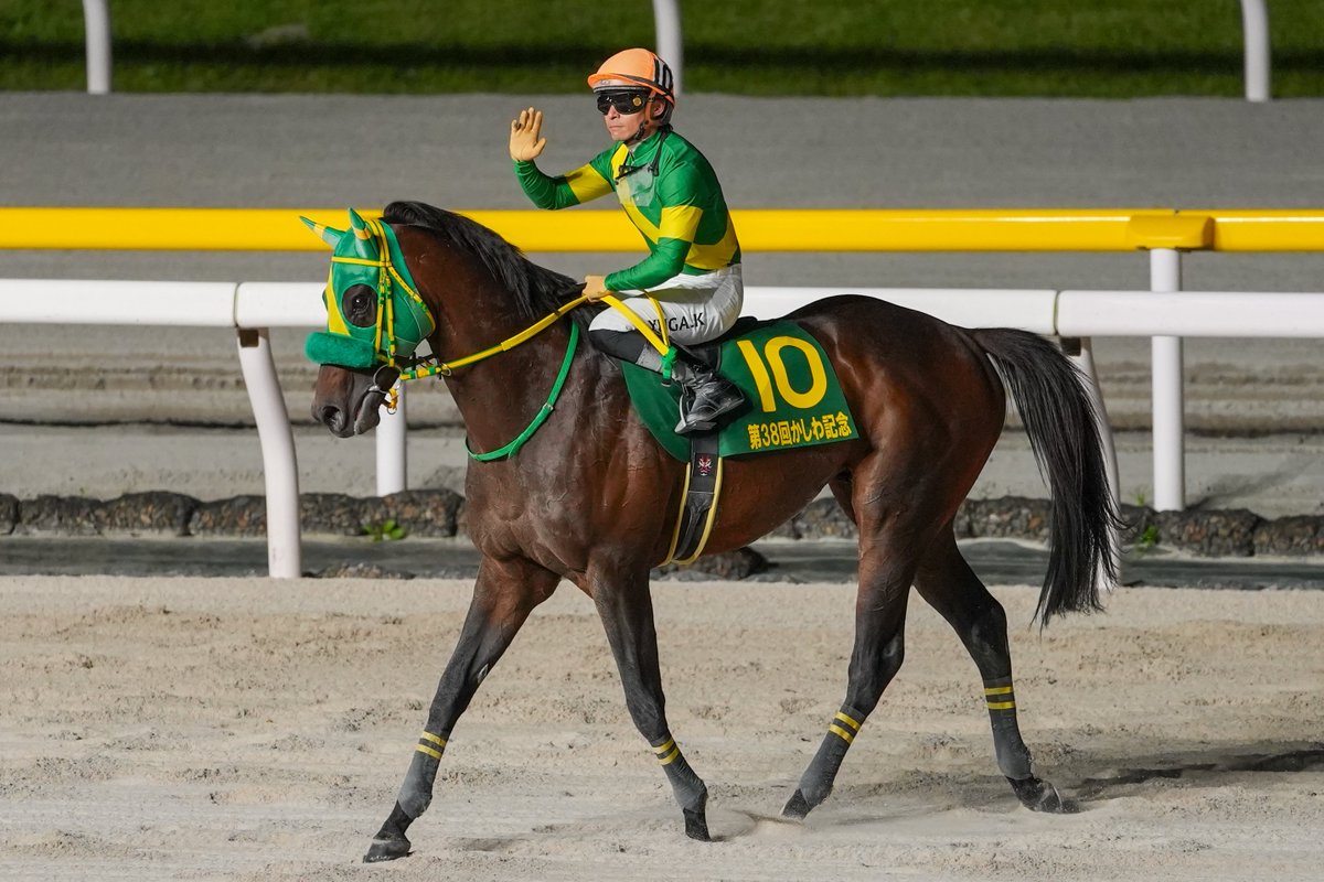 Jordan_Jorvon's tweet photo. 2026/05/05
船橋競馬11R かしわ記念 JpnⅠ
🏆ウィルソンテソーロ × 川田将雅騎手

川田将雅騎手が得意と話していた1600mで本領発揮、ミッキーファイトとの競り合いを制し見事優勝🏆
おめでとうございます🎉

 #船橋競馬 
 #かしわ記念 
 #ウィルソンテソーロ 
#川田将雅 騎手 https://t.co/JHF1j9Fceu
