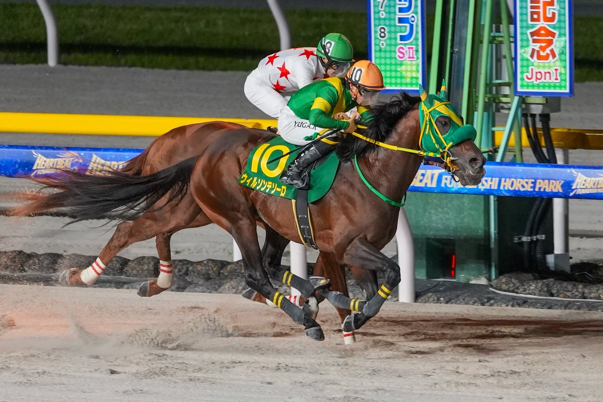 Jordan_Jorvon's tweet photo. 2026/05/05
船橋競馬11R かしわ記念 JpnⅠ
🏆ウィルソンテソーロ × 川田将雅騎手

川田将雅騎手が得意と話していた1600mで本領発揮、ミッキーファイトとの競り合いを制し見事優勝🏆
おめでとうございます🎉

 #船橋競馬 
 #かしわ記念 
 #ウィルソンテソーロ 
#川田将雅 騎手 https://t.co/JHF1j9Fceu