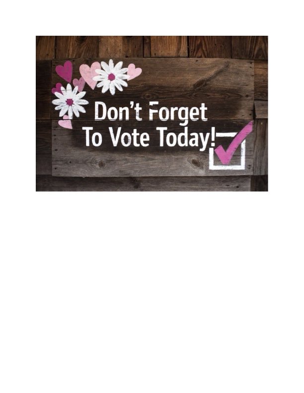 USAWriter355's tweet photo. Hey, Ohio, poles are open...  VOT!!! ❇️➡️🗳️ https://t.co/teUKDf1uq7