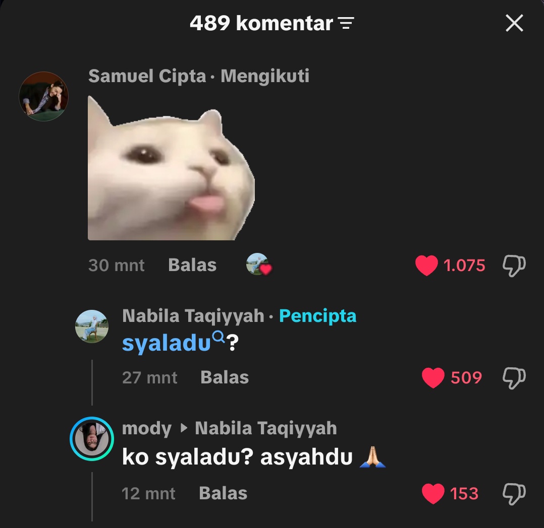 ʜᴏ୨୧ tweet media