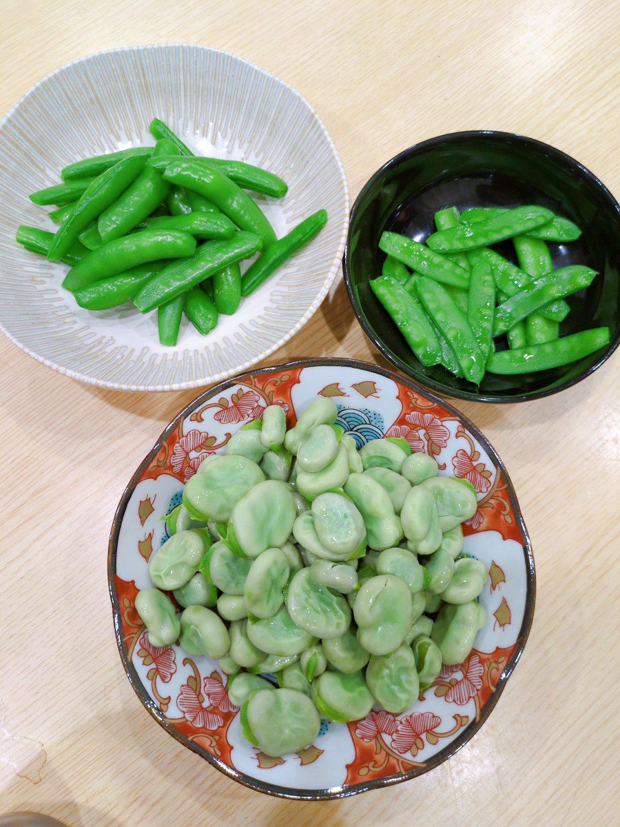 春の豆祭り

スナップえんどう
きぬさや
そら豆