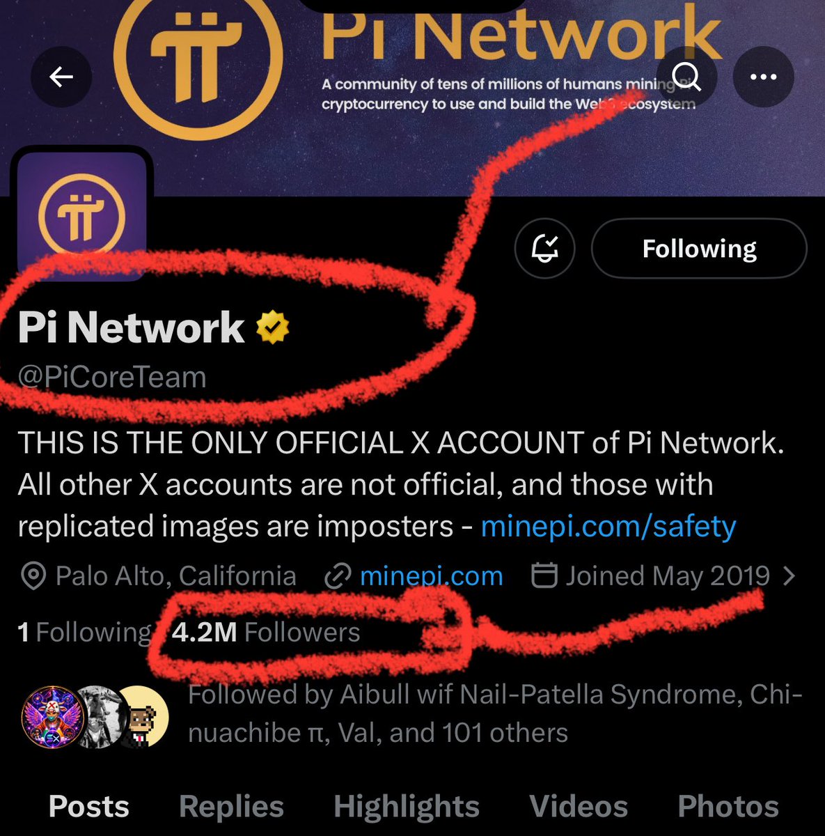 Flex tweet media
