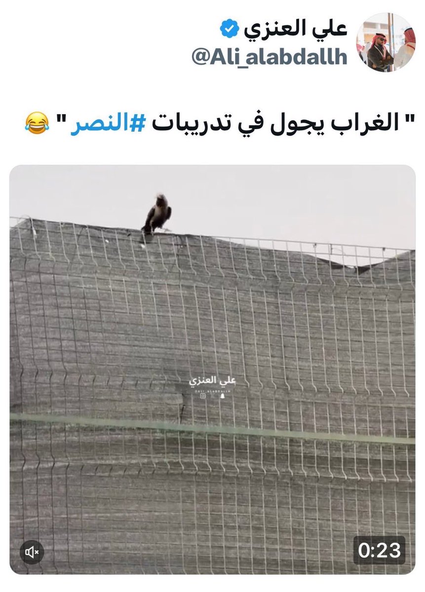 Euro tweet media