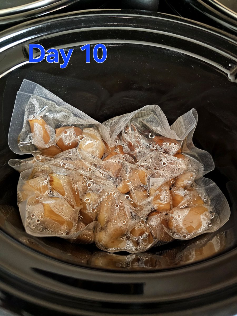 XRPcook's tweet image. #black #garlic #update #day #ten