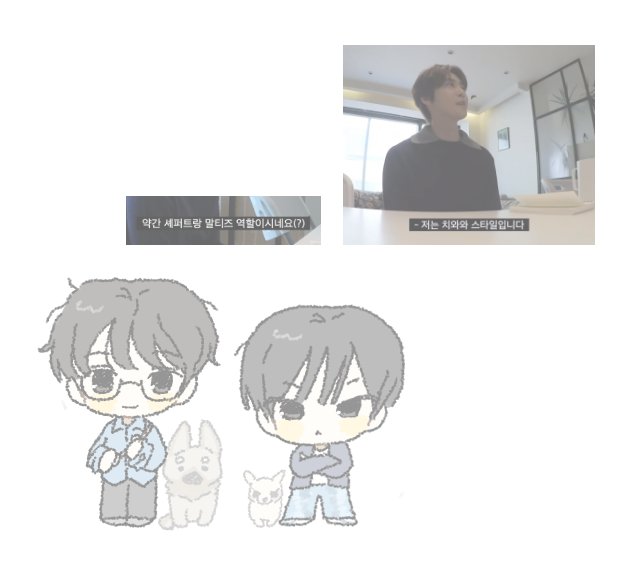 독 tweet media