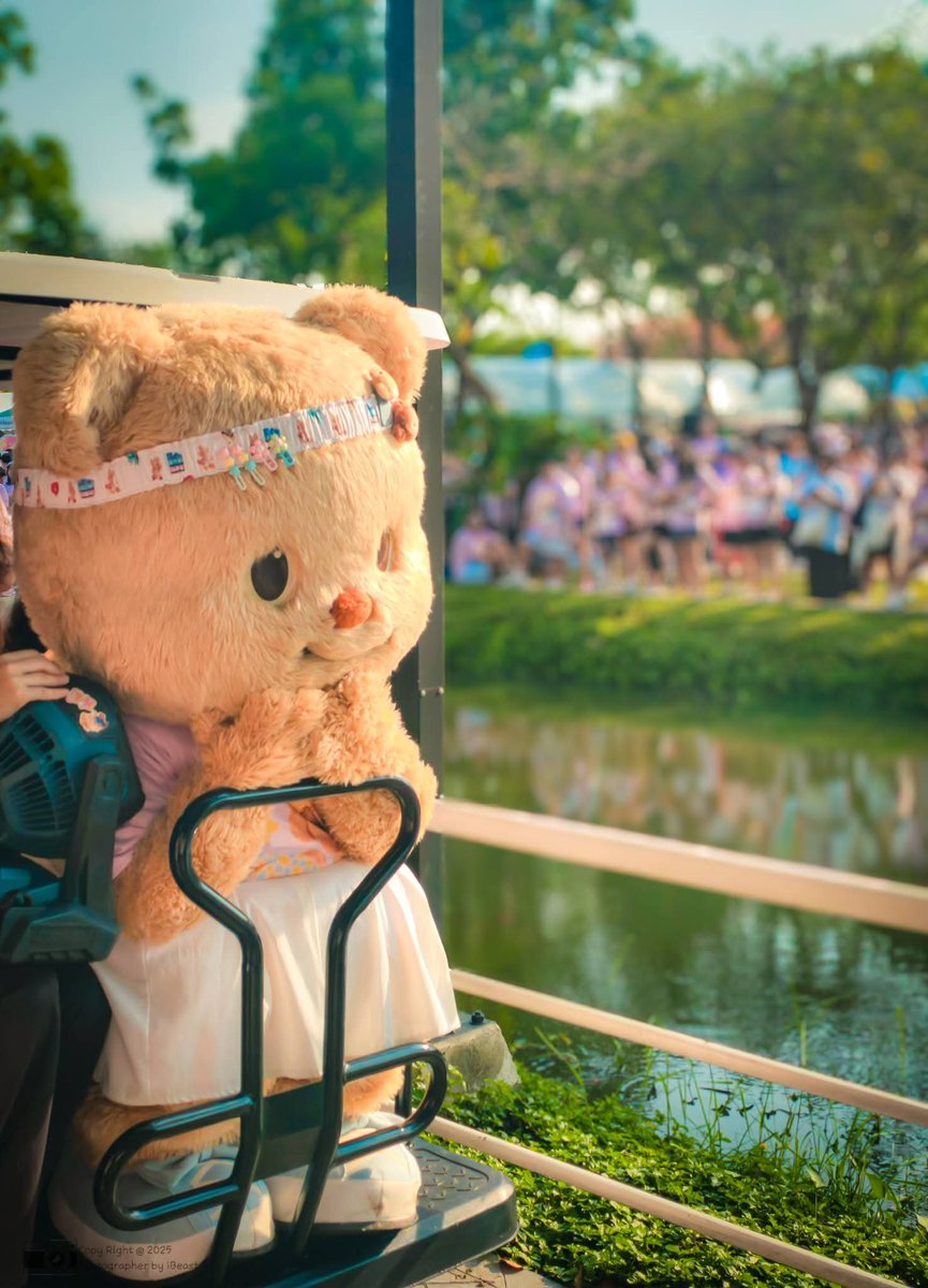 MoM🧸🐻 ชะนีอินดี้ tweet media