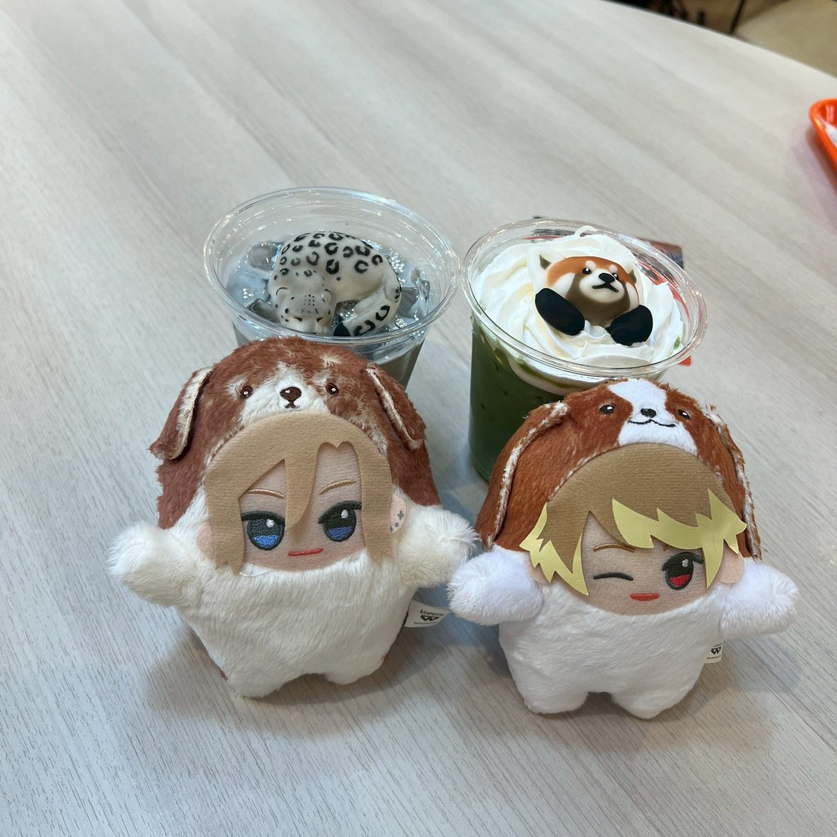 やぎ🐐 tweet media