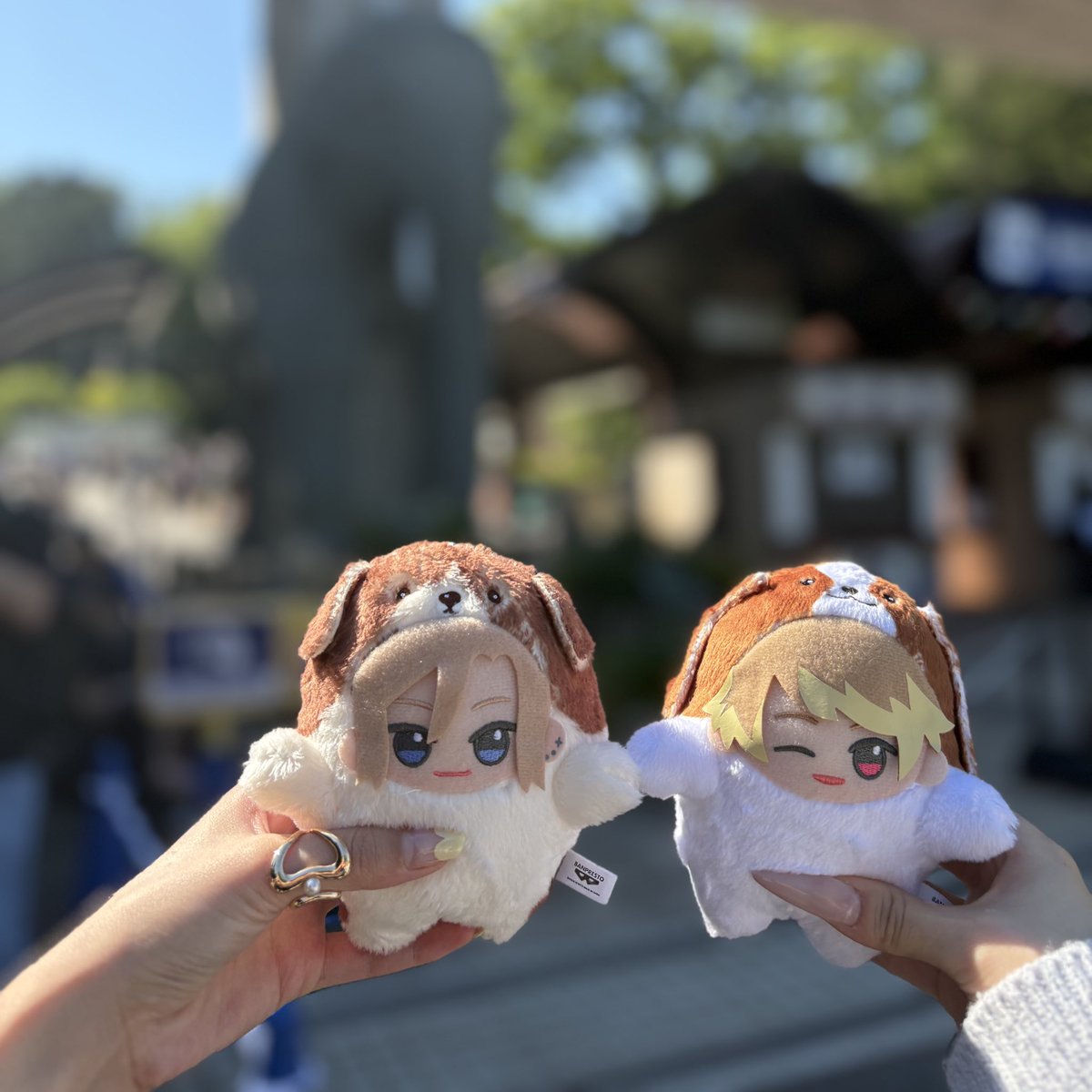 やぎ🐐 tweet media
