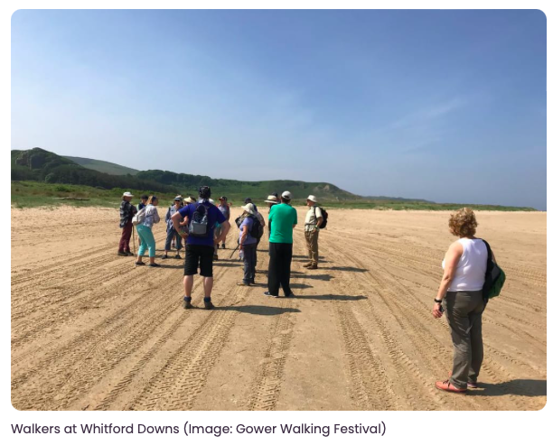 Gower Walking Festival tweet media