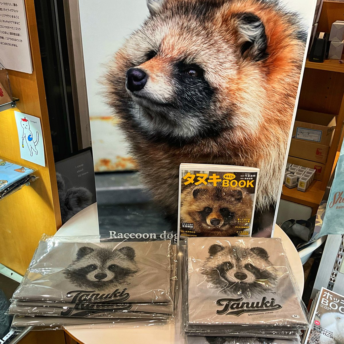 SotonekoJapan's tweet photo. 『タヌキまるごとBOOK』書店で見つけてね
#タヌキまるごとBOOK #辰巳出版 #今泉忠明 https://t.co/yeFOmOLRwW