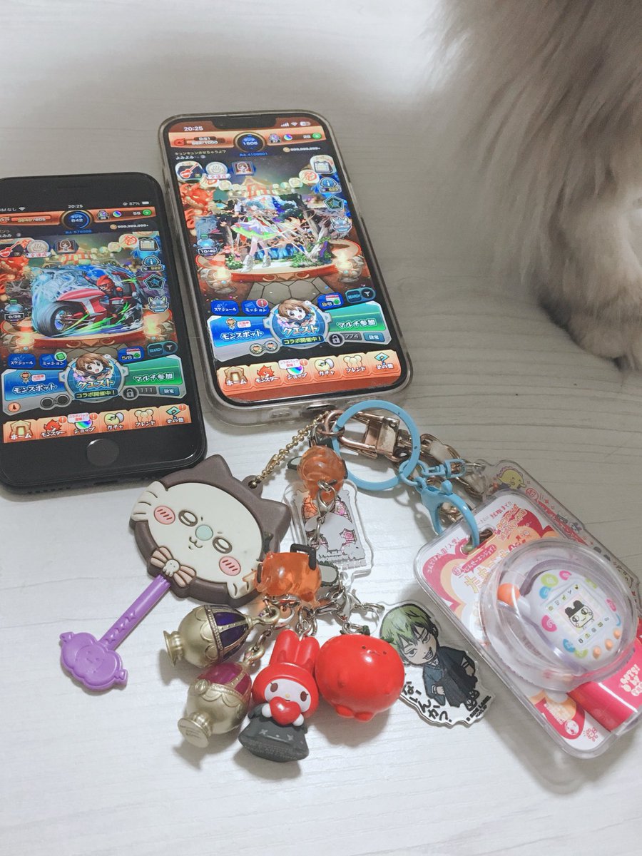 よみ⋆⑅. tweet media