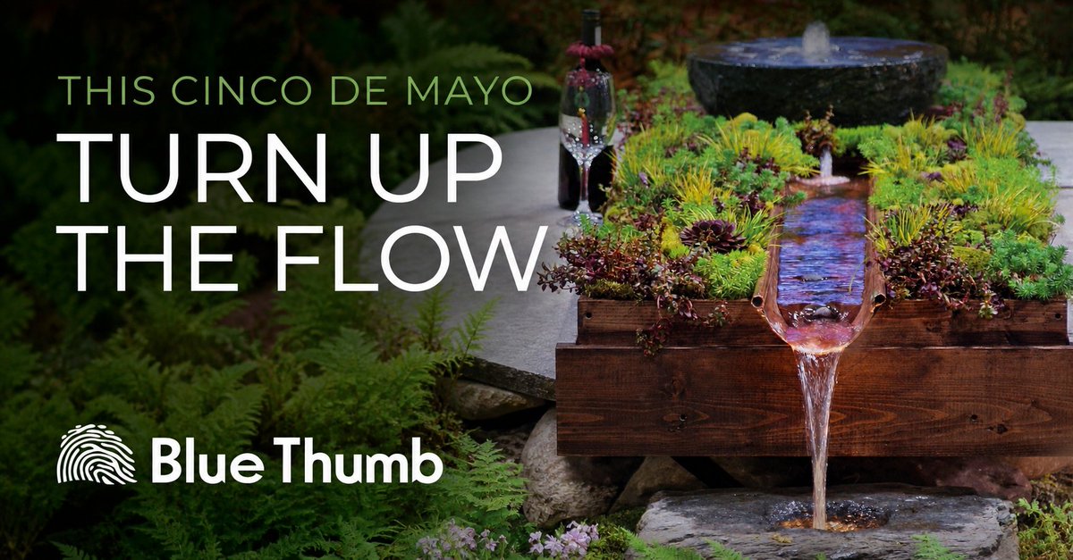 BlueThumbINC's tweet image. Cinco de Mayo is all about energy, color, and bringing people together. 💦
A Blue Thumb water feature brings that same feeling to patios, gardens, and outdoor spaces.
Shop fountain kits and conversion kits:
 shopbluethumb.com/fountains/
#WaterFeatures #OutdoorLiving