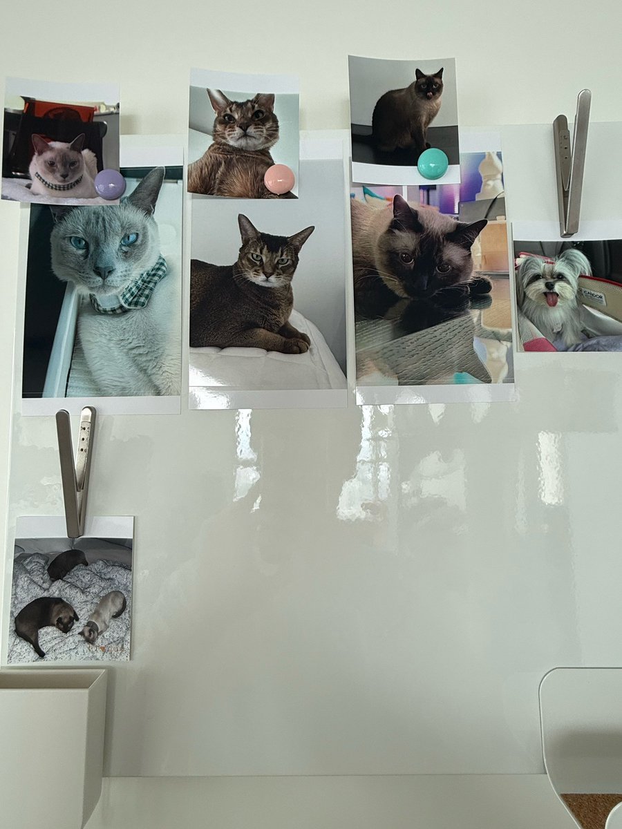 rnrine_10vely💜🐈‍⬛ tweet media