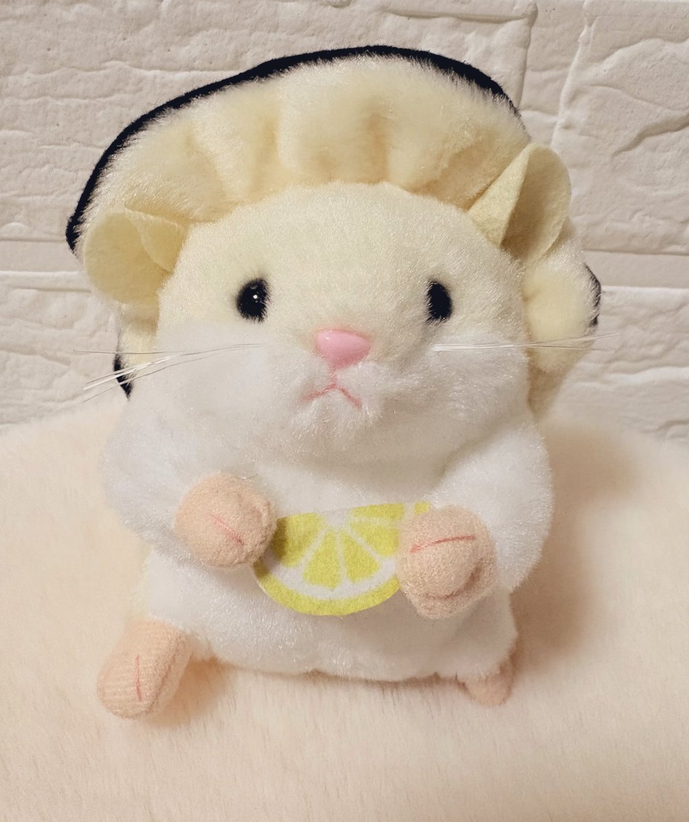 𝐌𝐢𝐤𝐢𝐭𝐭𝐲 ❥ʢ•ﻌ•ʡ tweet media