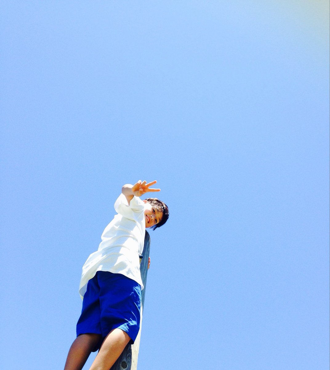 中村碧 tweet media