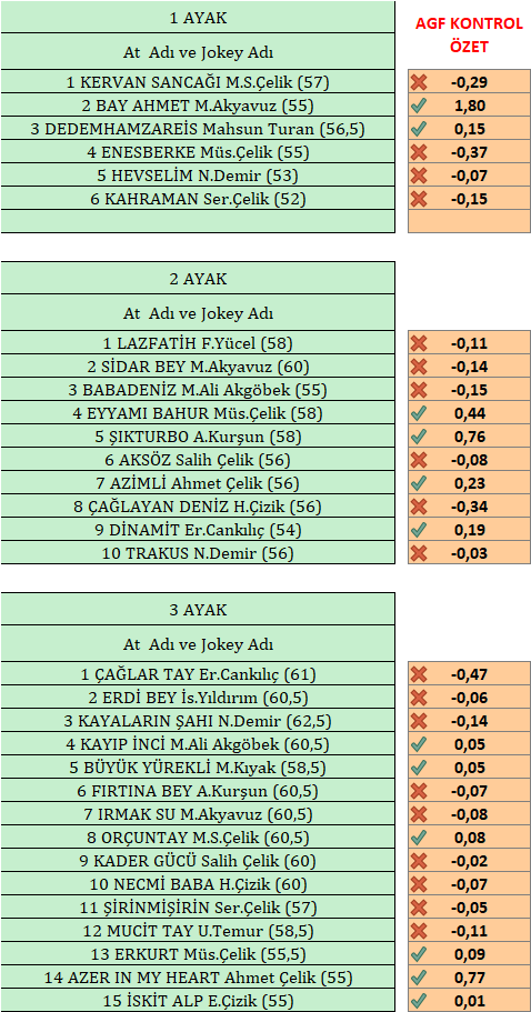 Yarisseverinsesi tweet media